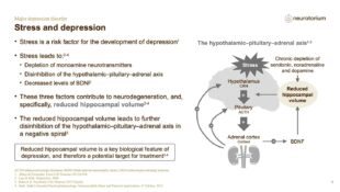 Major Depressive Disorder – Neurobiology and Aetiology – slide 31